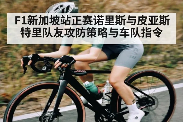 F1新加坡站正赛诺里斯与皮亚斯特里队友攻防策略与车队指令